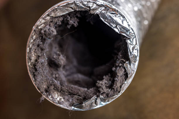 Best Commercial Air Duct Cleaning  in Williston, SC